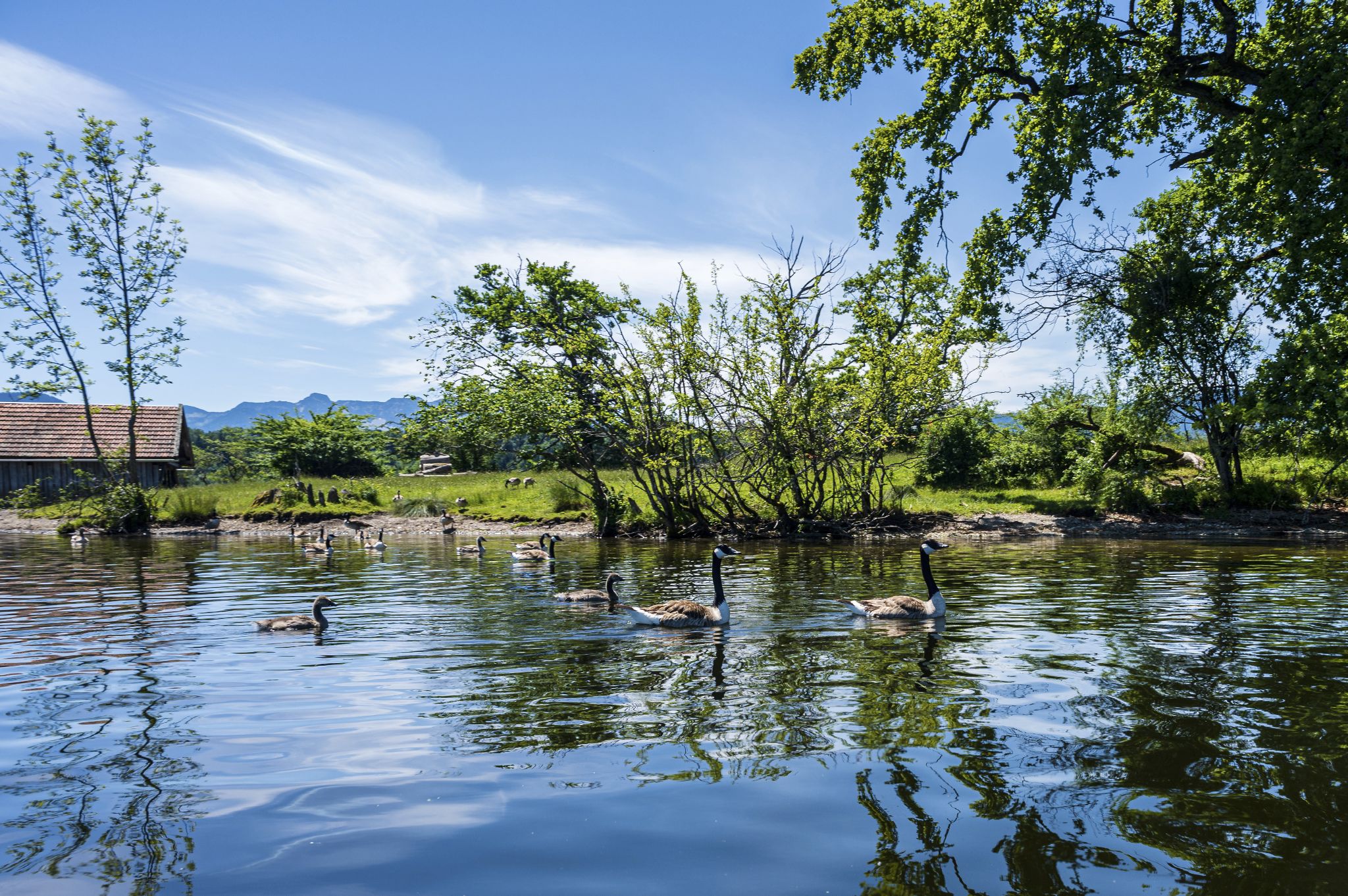 Kajaktour Staffelsee 12.06.22